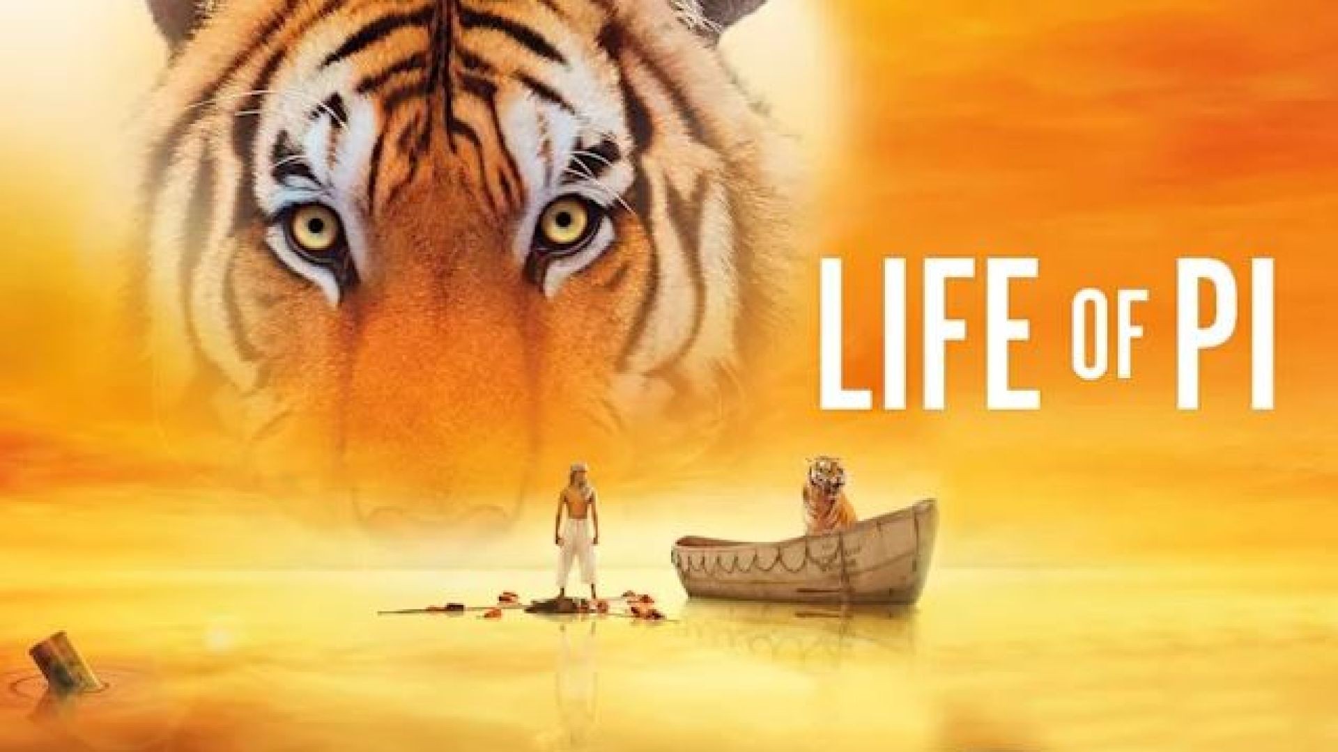 Life of Pi (2012) Dual Audio [Hindi – English] BluRay 720P
