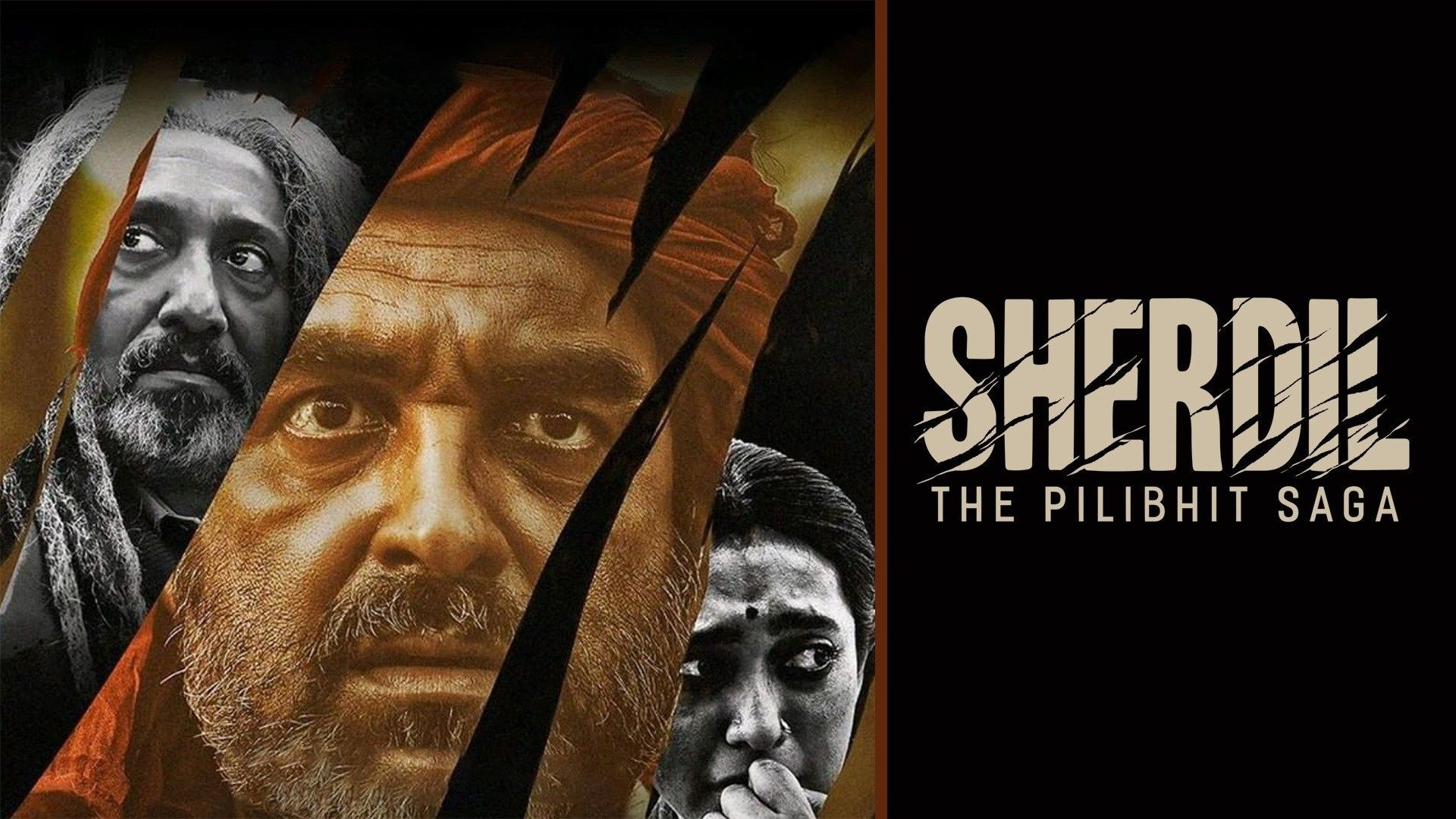 Sherdil: The Pilibhit Saga