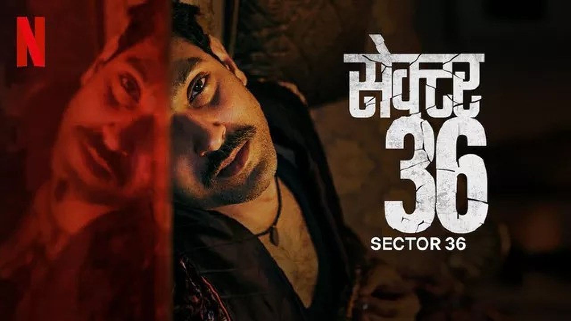 Sector 36 (2024) Hindi NetFlix WEB-DL 480p